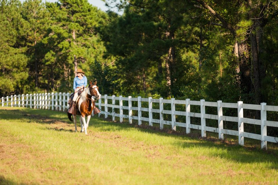Southlands Plantation 9