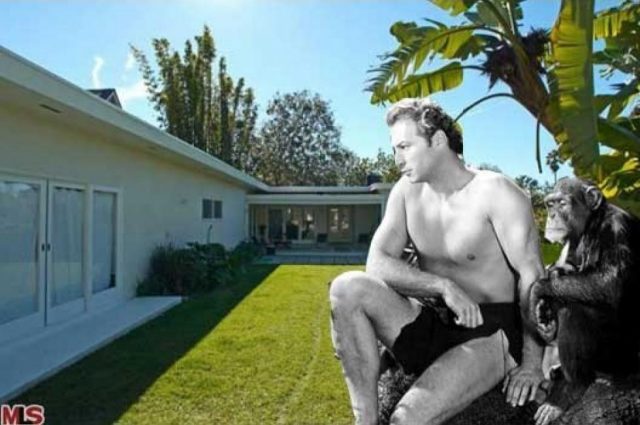 Tarzan Lived Here!