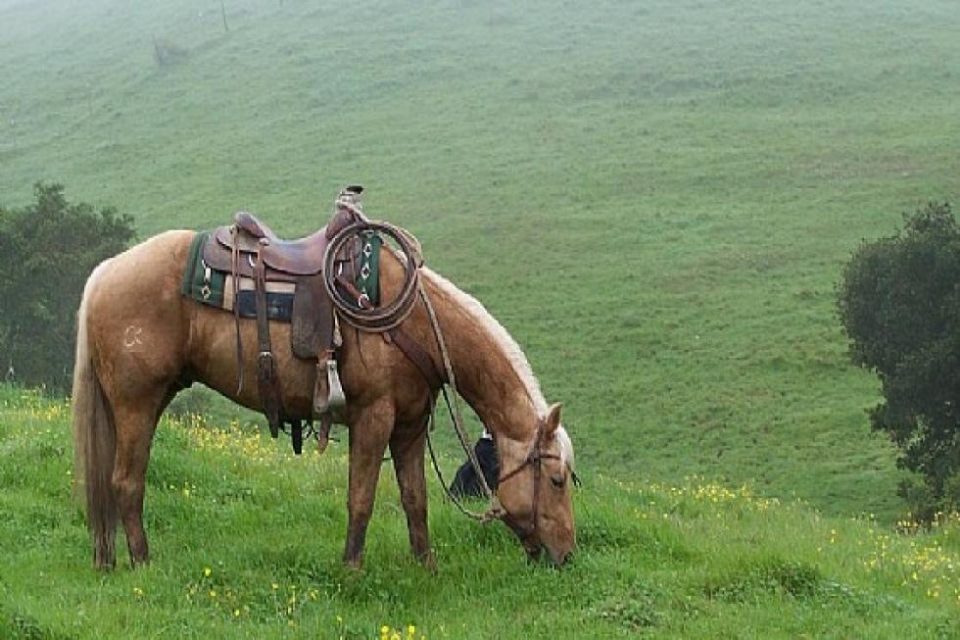 Famous Madonna-Twisselman Ranch!