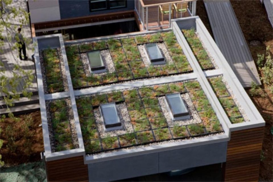 Chicago’s Greenest Home Now Open!