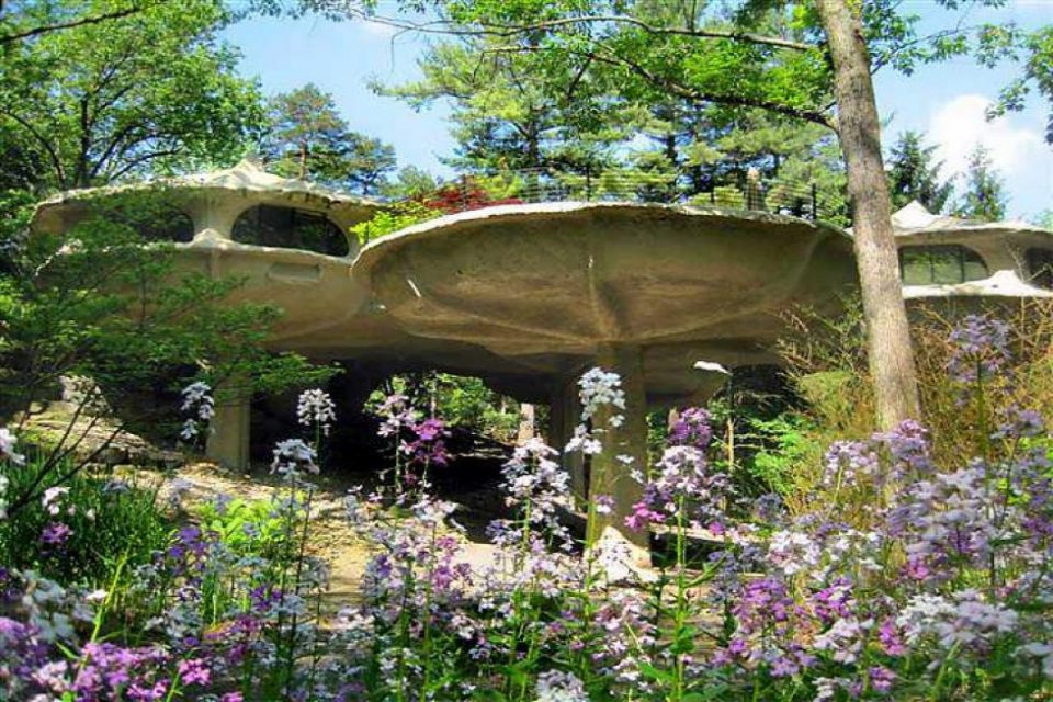 The Mushroom House!