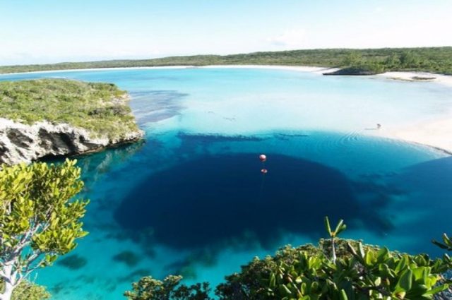 Bahama Blue Hole!