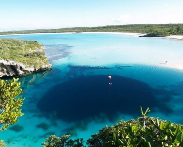 Bahama Blue Hole!