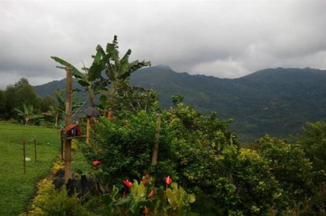 Colombian Coffee Farm!!