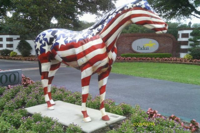 World Famous Padua Stables Auction!