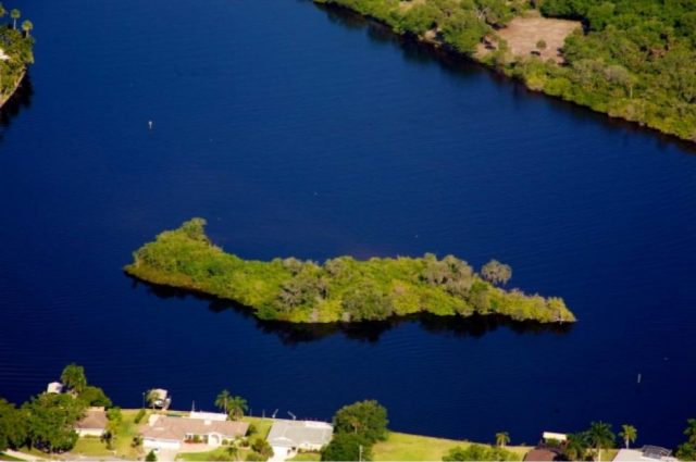 Your Own Florida Island Auction!