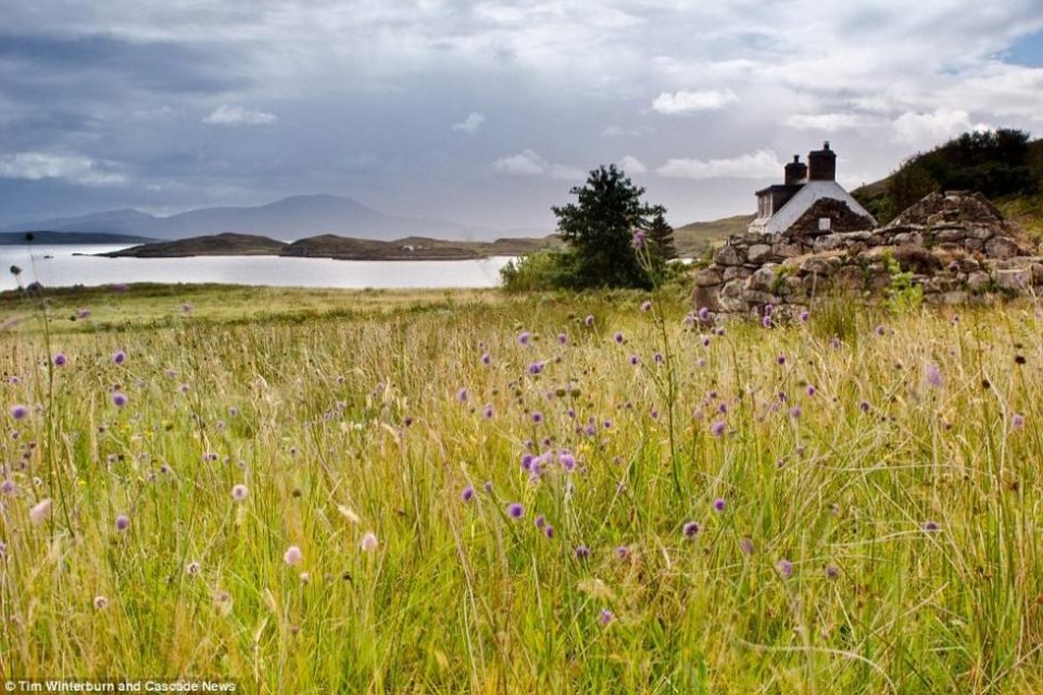 Own a Scottish Island!