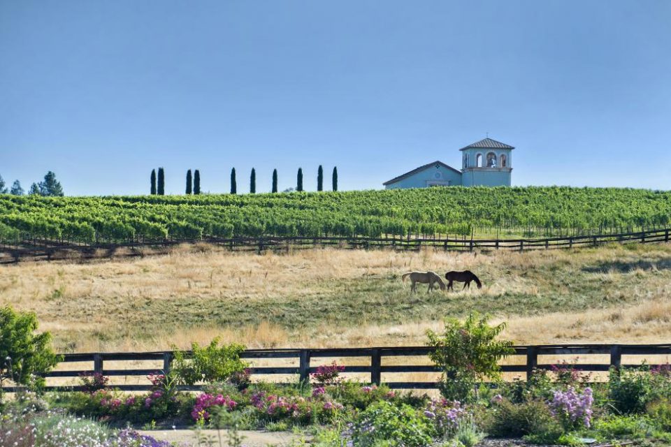 California Ranch, Church & Vineyard Auction!