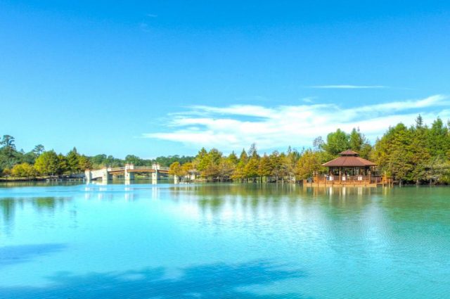 Texas Acres of Gardens & Lakes!