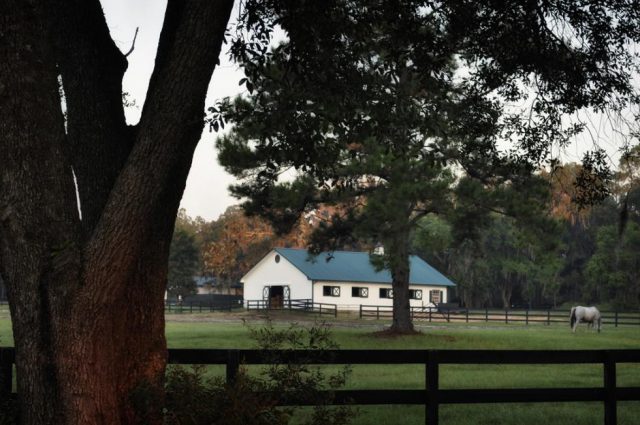 Honey Lake Plantation!