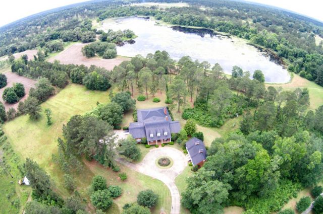 The Winn Dixie Plantation!