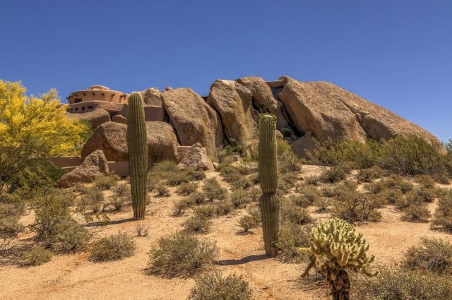 The Arizona Boulder Creatures!