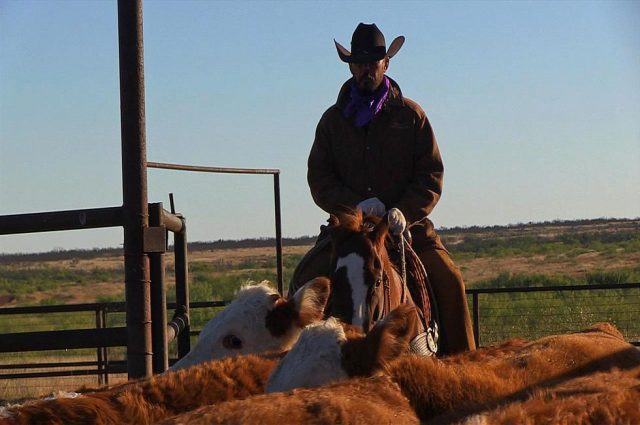 Historic Texas Ranch Sold!