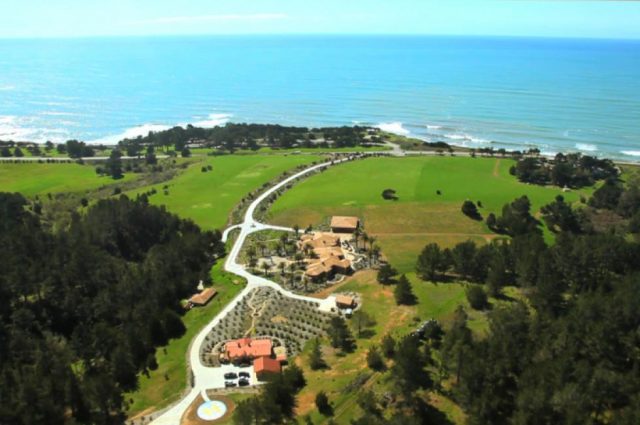 Vineyard on the Pacific Ocean!