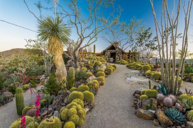 Joshua Tree Mojave Rock Ranch!