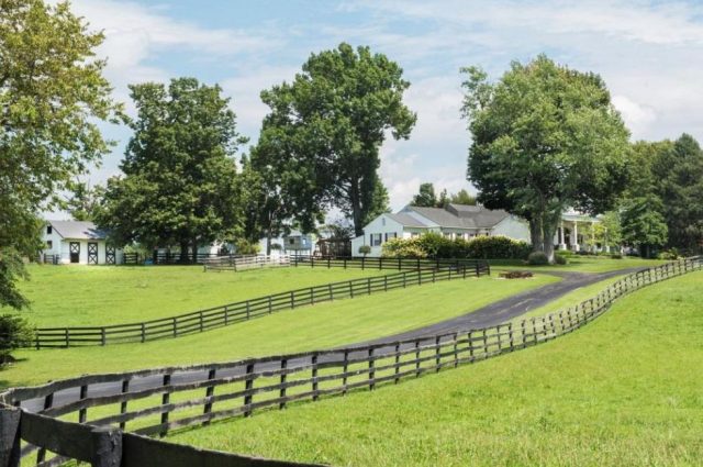 Johnny Depp’s Horse Farm Auction!