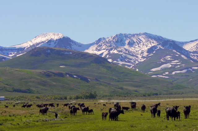 Bing Crosby’s Nevada Get-Away Ranch!