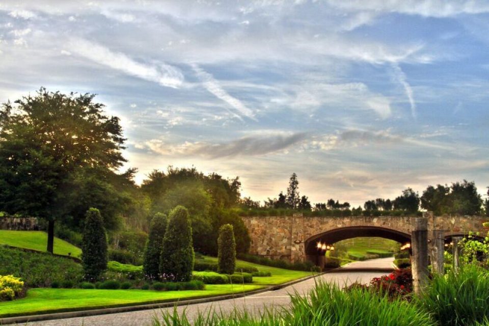 Bella Collina 29