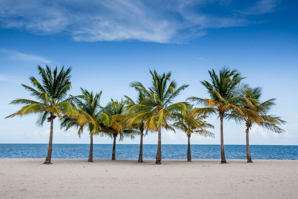 Florida Beach 3