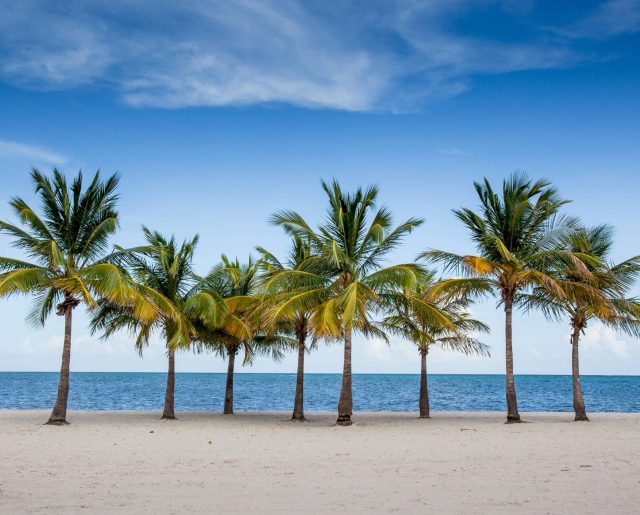 Pompano Beach Oceanfront Under $1 Million!