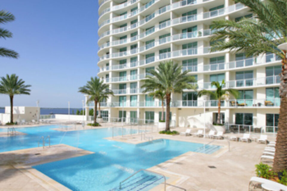 Oasis 1