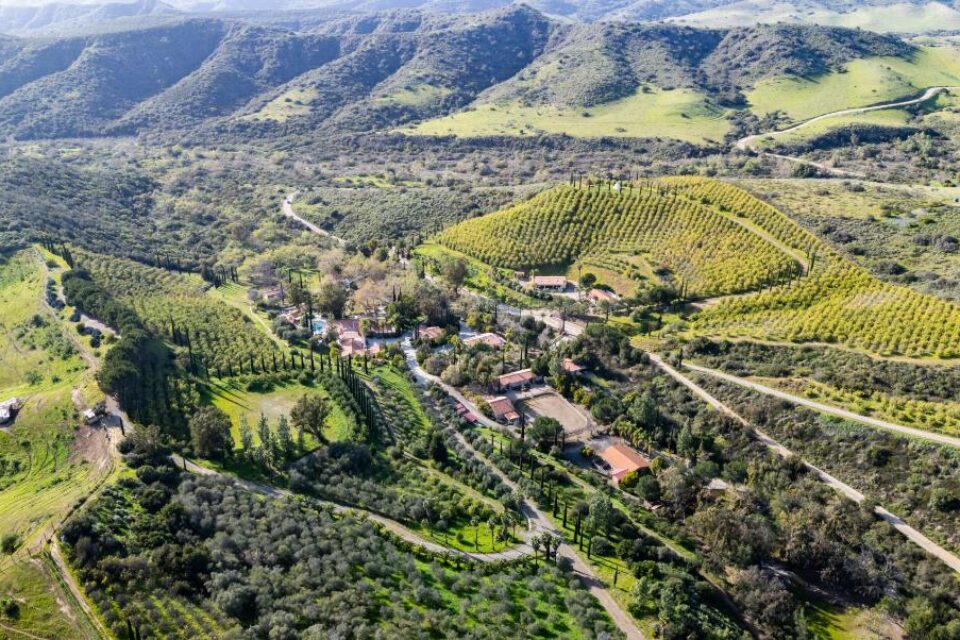 M 56 Marconi Overview